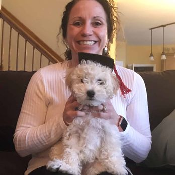 Positive Paws Pet Training - "My name is Boone. I learned to leave my family's items alone." - Pet Training Near Me - Saint Charles, Missouri Positive Paws Pet Training - "My name is Boone. I learned to leave my family's items alone." - Pet Training Near Me - Saint Charles, Missouri
