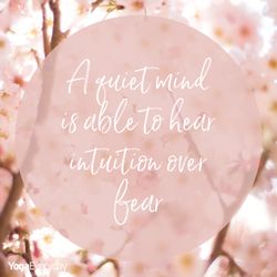 Yoga Everyday - Quieting the mind can create such clarity in your thoughts yet it is a skill that requires persistent practise.