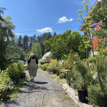 Fiddler's Ridge Garden & Nature Store - The owner Theresa is very knowledgeable and friendly. - Nurseries & Gardening Near Me - Potlatch, Idaho Fiddler's Ridge Garden & Nature Store - The owner Theresa is very knowledgeable and friendly. - Nurseries & Gardening Near Me - Potlatch, Idaho