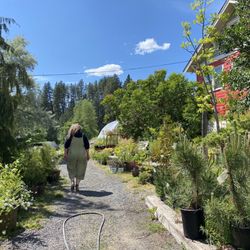 Fiddler's Ridge Garden & Nature Store - The owner Theresa is very knowledgeable and friendly.