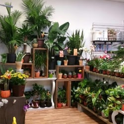 Krazy Daisy Florist