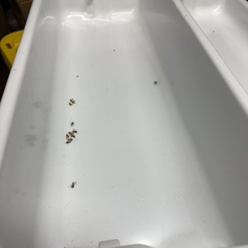 CubeSmart Self Storage - bugs inside of appliances - Self Storage Near Me - Fort Lauderdale, Florida