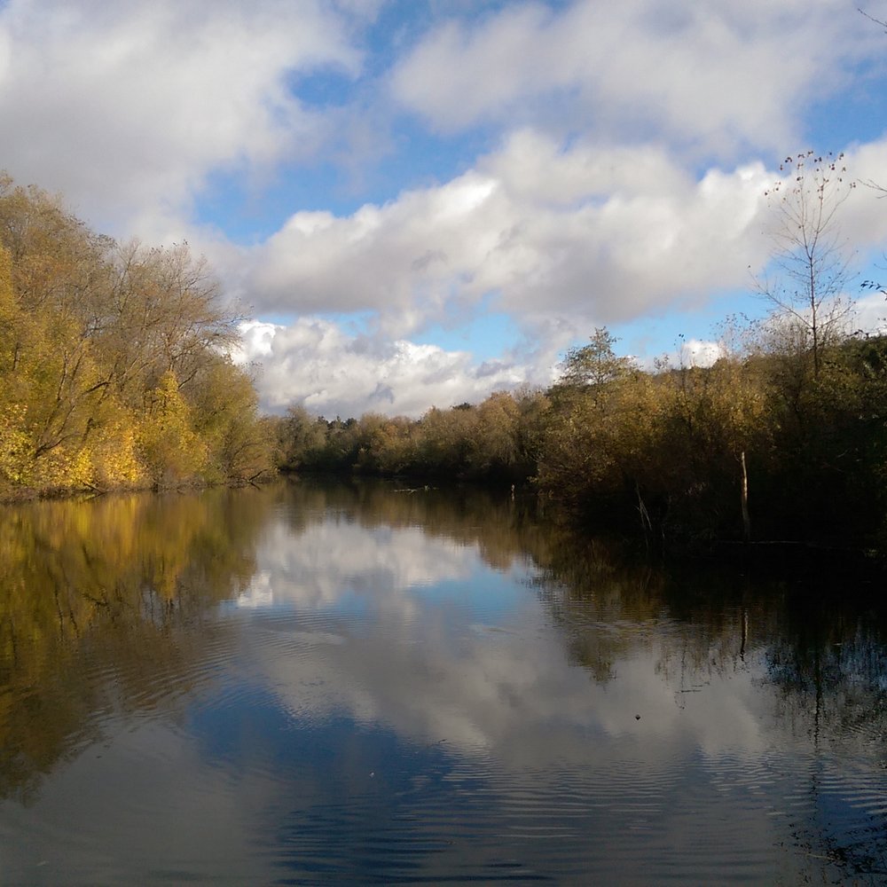 Riverfront Regional Park - Russian River fishing. - Parks Near Me - Healdsburg, California