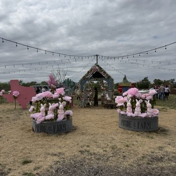 Country Grace Farms - Attraction Farms Near Me - Seguin, Texas