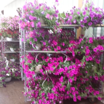 Block's Stand & Greenhouse - Farmers Market Near Me - Romulus, Michigan