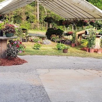 Norton's Farm - Nursery - Farmers Market Near Me - Rockingham, North Carolina