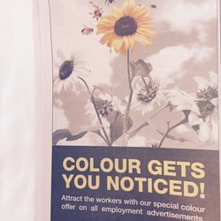 The California Bee Company - I agree!