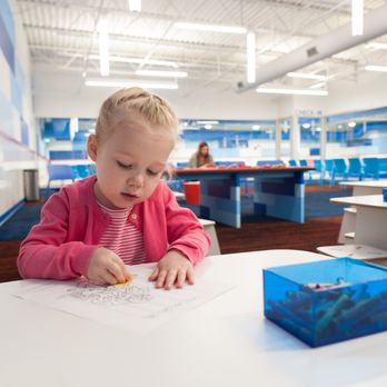 Big Blue Swim School - Swimming Lessons/Schools Near Me - Niles, Illinois Big Blue Swim School - Swimming Lessons/Schools Near Me - Niles, Illinois