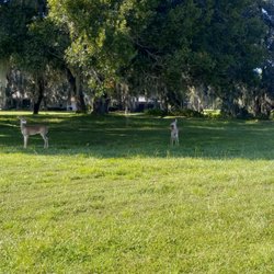 Tarpon Woods Golf Club - Tarpon Woods Golf 12-Hole while golfing here around 4:00 pm. Just amazing.