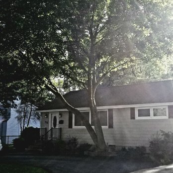 Wayne's Tree Service - Tree Services Near Me - Somerville, New Jersey Wayne's Tree Service - Tree Services Near Me - Somerville, New Jersey