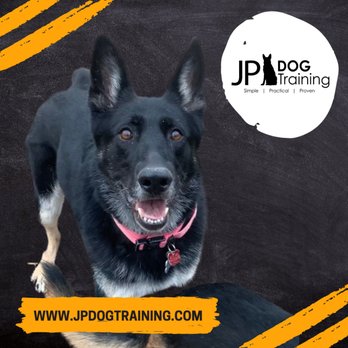 JP Dog Training - Pet Training Near Me JP Dog Training - Pet Training Near Me