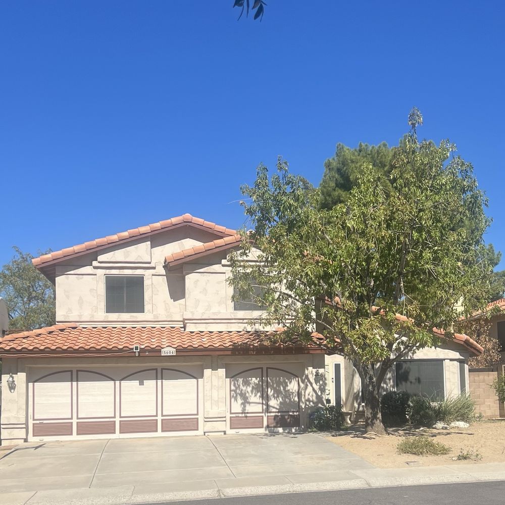 Roy's Trees - Tree Services Near Me Roy's Trees - Tree Services Near Me
