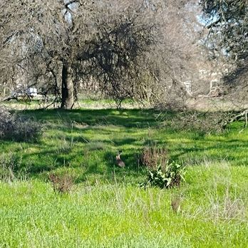 William Hughes Park - Parks Near Me - Roseville, California William Hughes Park - Parks Near Me - Roseville, California