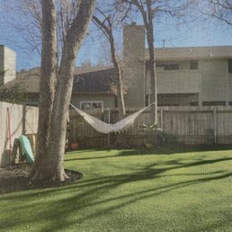 Back corner of yard. Back corner of yard.