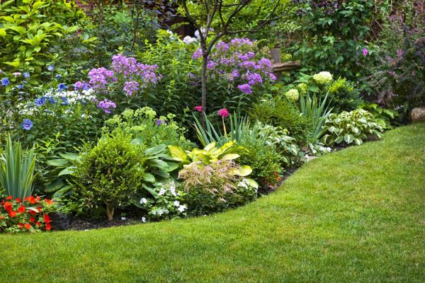 Garden Clean Up - Call or Message us for a free quote!