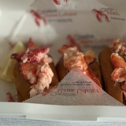 Lobster rolls