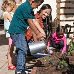 Growing Garden Wonderschool