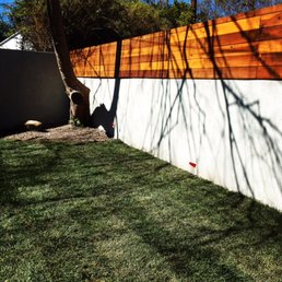 (one portion) of the wall, complete. (one portion) of the wall, complete.