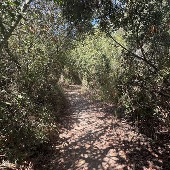 Buck Gully Reserve - Hiking Near Me - Newport Coast, California Buck Gully Reserve - Hiking Near Me - Newport Coast, California
