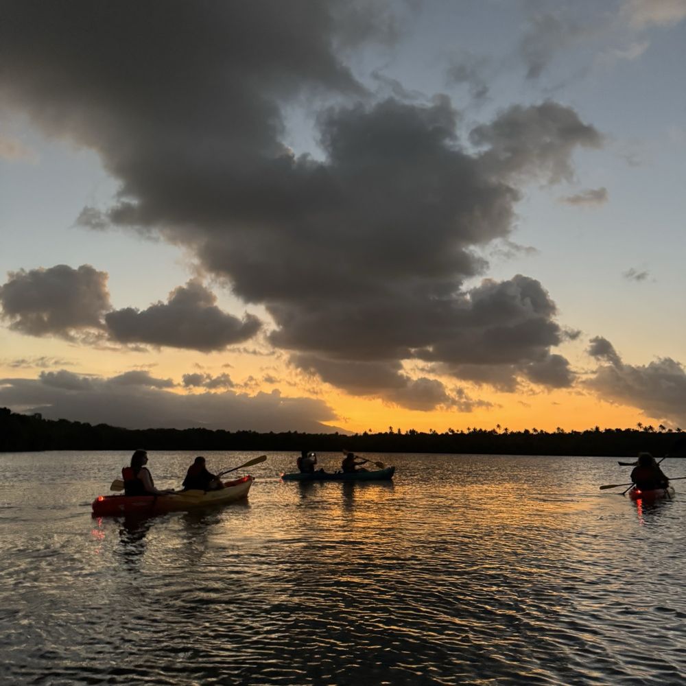 Eco Adventures kayaks - Rafting/Kayaking Near Me Eco Adventures kayaks - Rafting/Kayaking Near Me