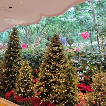 Wynn - Hotels Near Me - Las Vegas, Nevada Wynn - Hotels Near Me - Las Vegas, Nevada