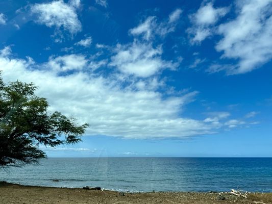 Olowalu Beach by null