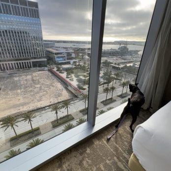 InterContinental San Diego - Hotels Near Me - San Diego, California