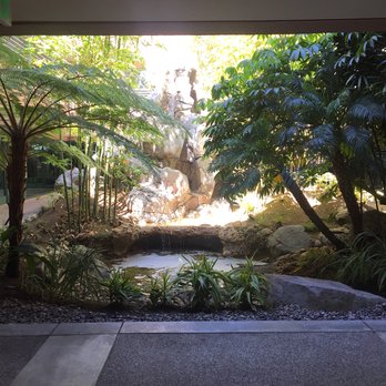 Just Skin - Beautiful waterfall upon entering building - Medical Spas Near Me - Encinitas, California Just Skin - Beautiful waterfall upon entering building - Medical Spas Near Me - Encinitas, California
