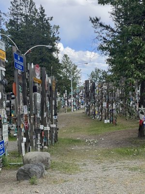 Sign Post Forest by null