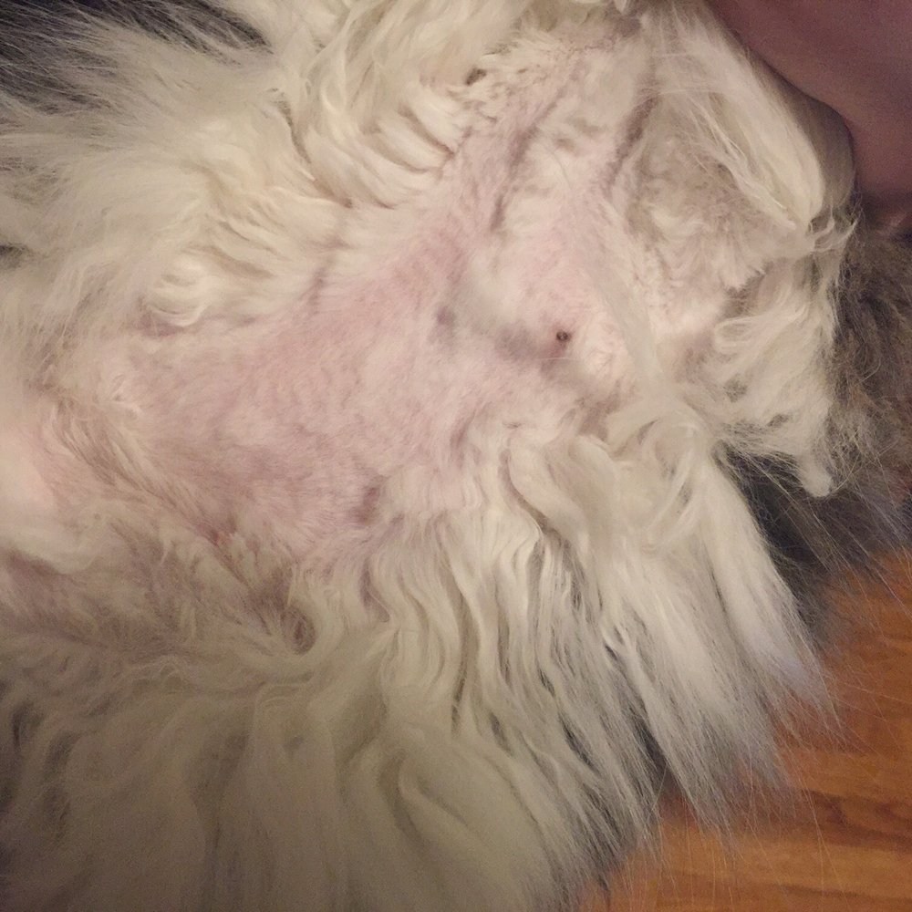 Uneven shave Uneven shave