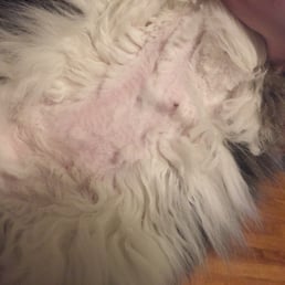 Uneven shave