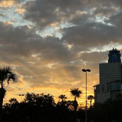Memorial City - Sunset views