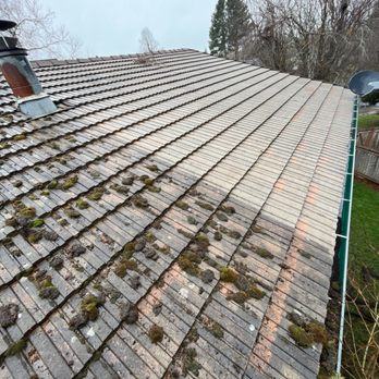 Moss Busters - Gutter Services Near Me - Portland, Oregon Moss Busters - Gutter Services Near Me - Portland, Oregon