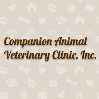 Companion Animal Veterinary Clinic - Veterinarians Near Me - Plainwell, Michigan Companion Animal Veterinary Clinic - Veterinarians Near Me - Plainwell, Michigan