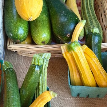 Tenfold Farmstand - Veggies - Farmers Market Near Me - Petaluma, California Tenfold Farmstand - Veggies - Farmers Market Near Me - Petaluma, California