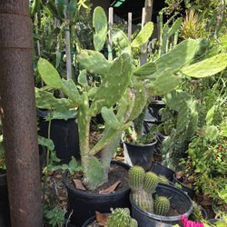 Paz Nursery