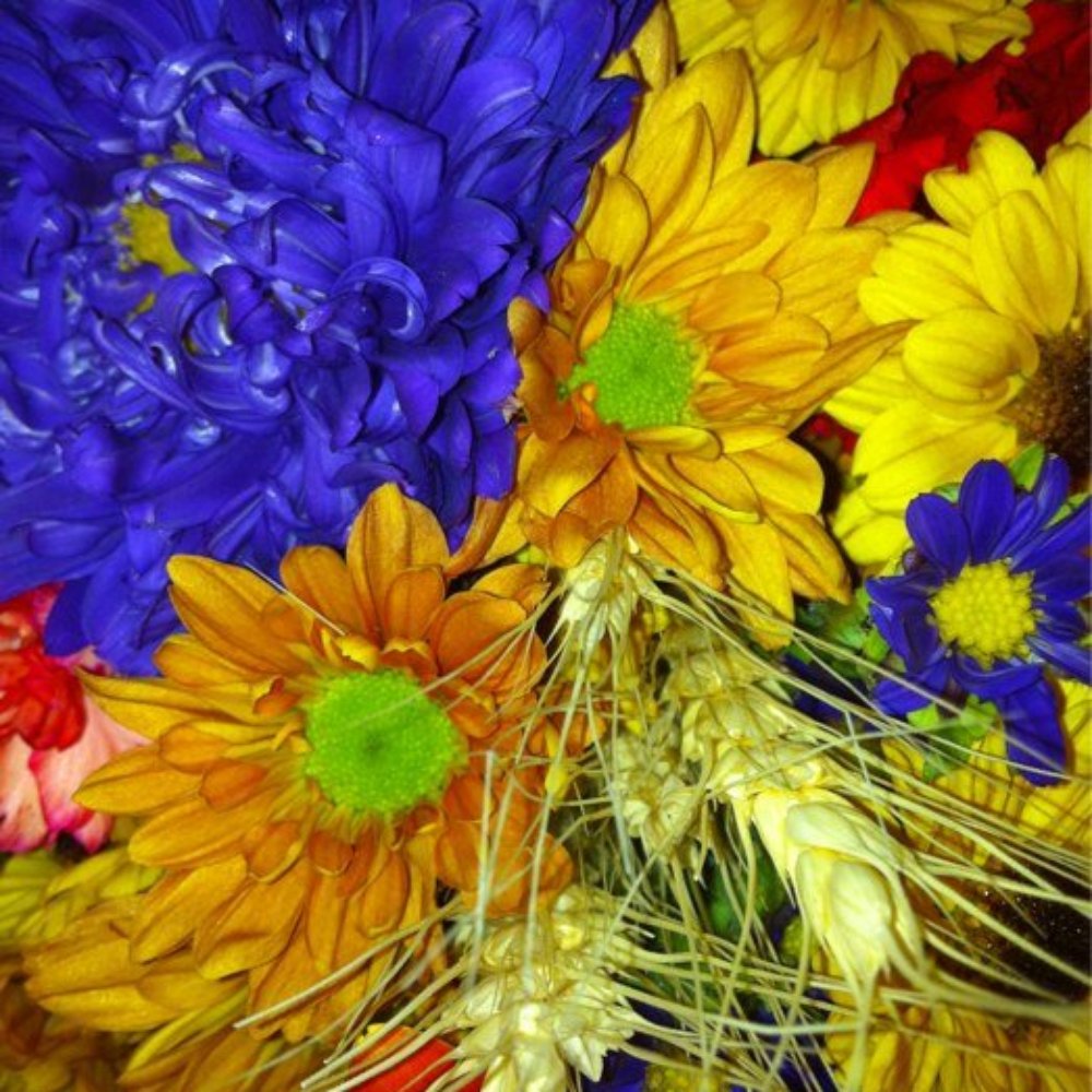 Jewel-Osco - a close up of a bouquet of flowers - Grocery Near Me - Joliet, Illinois Jewel-Osco - a close up of a bouquet of flowers - Grocery Near Me - Joliet, Illinois