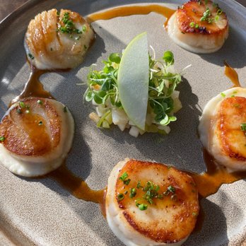 Gordon Ramsay Hell's Kitchen - Seared scallops - Desserts Near Me - Washington, DC, District of Columbia Gordon Ramsay Hell's Kitchen - Seared scallops - Desserts Near Me - Washington, DC, District of Columbia