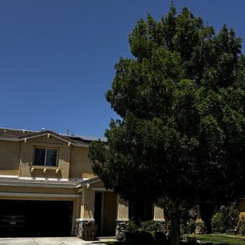 Tip Top Arborists - Front tree before TipTop - Tree Services Near Me - Lancaster, California