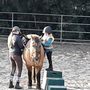 Photo of Hidden Fox Farm