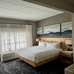 Delta Hotels by Marriott Huntington Downtown - The Room