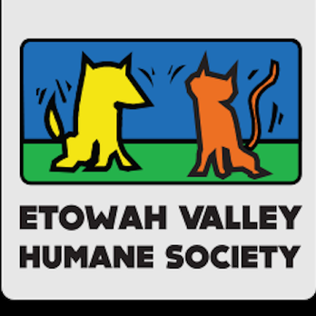 Etowah Valley Humane Society - Meet your new best friend! - Animal Shelters Near Me - Cartersville, Georgia Etowah Valley Humane Society - Meet your new best friend! - Animal Shelters Near Me - Cartersville, Georgia