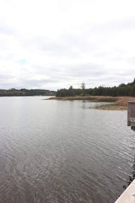 Island Lake Conservation Area by null