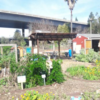Veggielution - Farmers Market Near Me - San Jose, California Veggielution - Farmers Market Near Me - San Jose, California