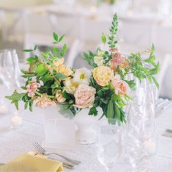 Sugar Rush Events