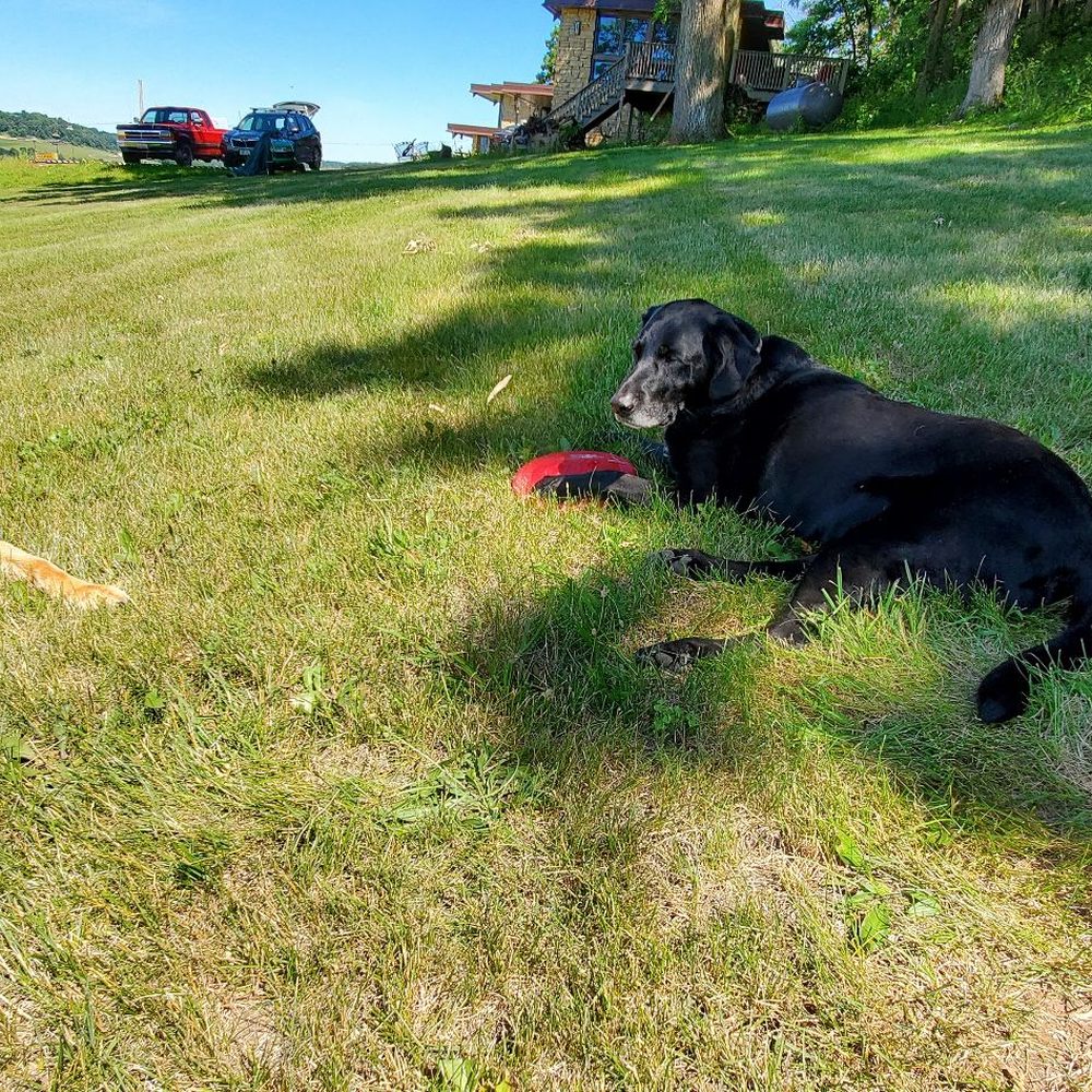 One Orange Centre - Expansive acreage with hills and shade trees. My two fur babies loved to run and play here when we stopped. - Bed & Breakfast Near Me - St Donatus, Iowa One Orange Centre - Expansive acreage with hills and shade trees. My two fur babies loved to run and play here when we stopped. - Bed & Breakfast Near Me - St Donatus, Iowa