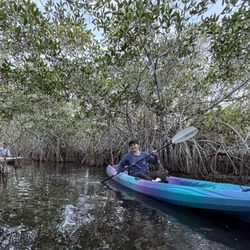 Garl's Coastal Kayaking