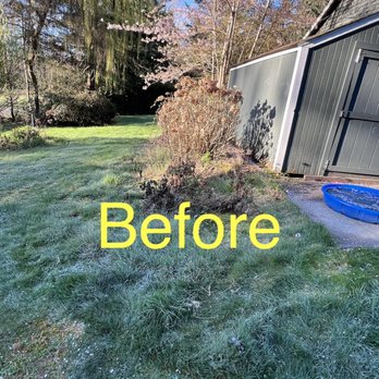 Ausencio Landscaping - Landscaping Near Me
