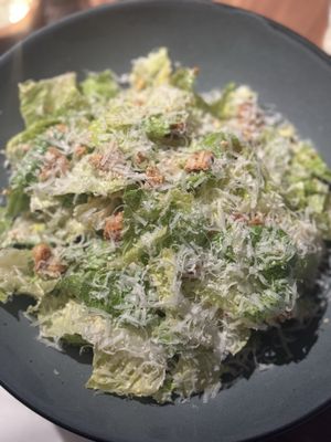 Skipjack Oyster by null