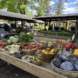 Maple Acre Farms - Vegetables!